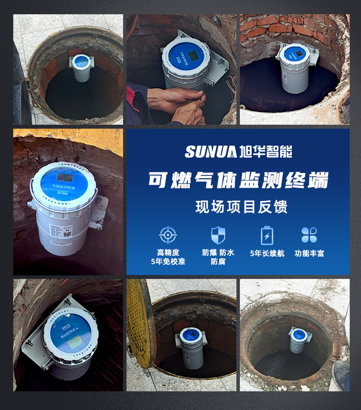凯发K8(中国)智能-可燃气体监测仪