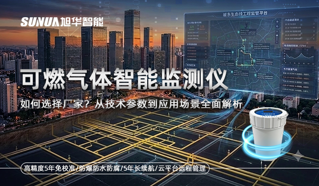 可燃气体智能监测仪厂家